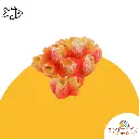 Photo site 2.zip - 3.webp