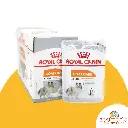 Copie de  Photo site 12.zip - 42.webp