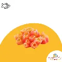 Aquarium Deco Orange Coral