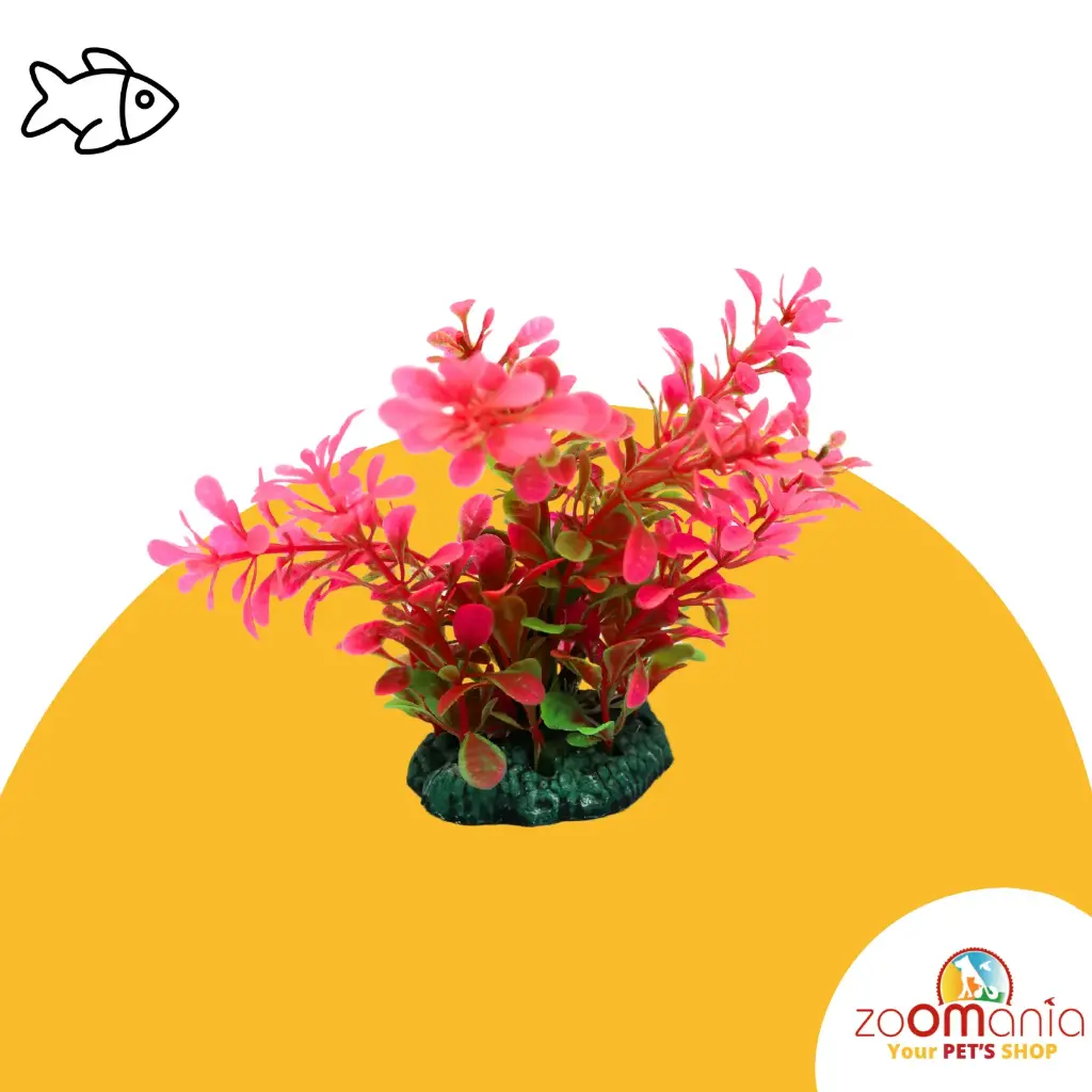 Aquarium Decoration