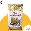 German shepherd adult 11kg