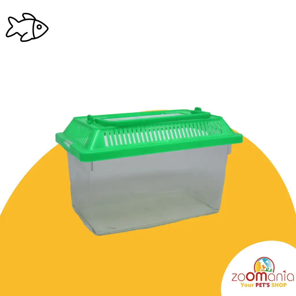 Mini Aquarium