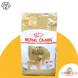 RC Golden Retriever 12kg