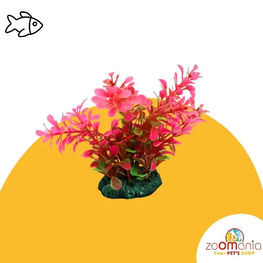 Aquarium Decoration
