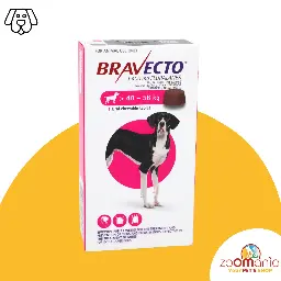 Bravecto 40 - 56 kg