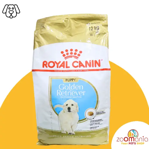 golden retriever puppy 12kg