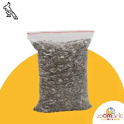 Big Sunflower Seeds 1.5kg (Tournesol)