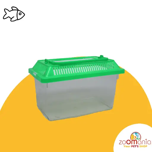 Mini Aquarium