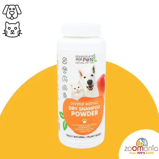 Pannatural Dry Shampoo Divine Mango