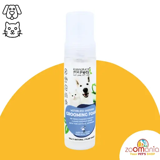 Pannatural Pump it up Foam Shampoo